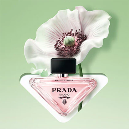 Paradoxe Virtual Flower